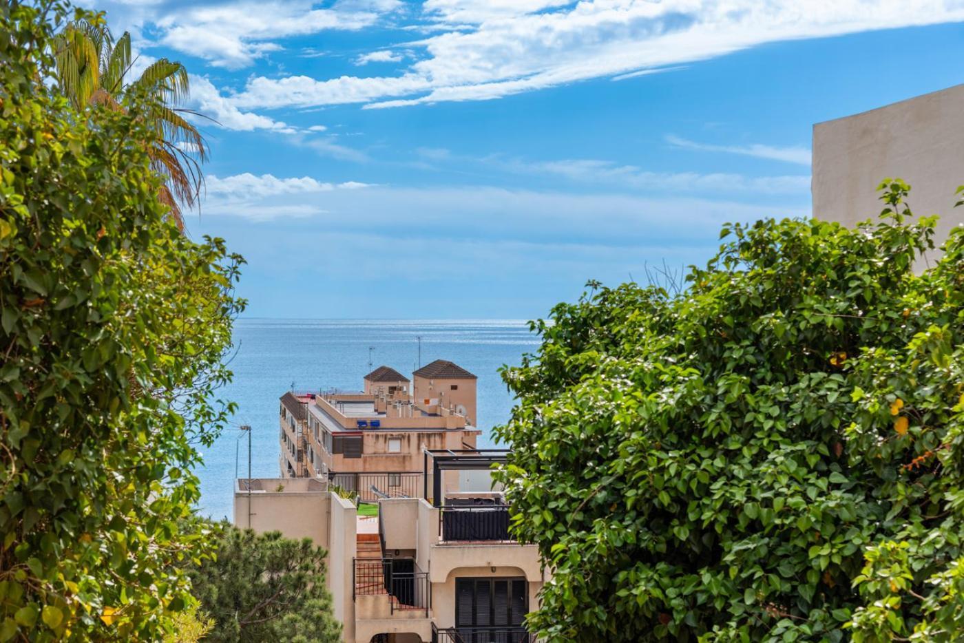 Sea 350M Seaview Apartment Torre Del Moro La Mata  Εξωτερικό φωτογραφία